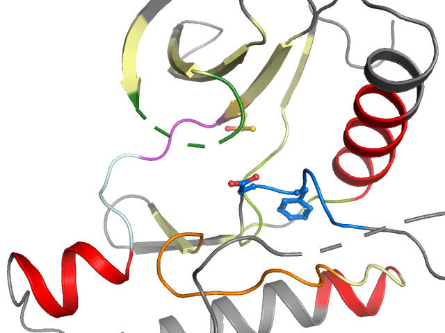 The orthosteric binding pocket