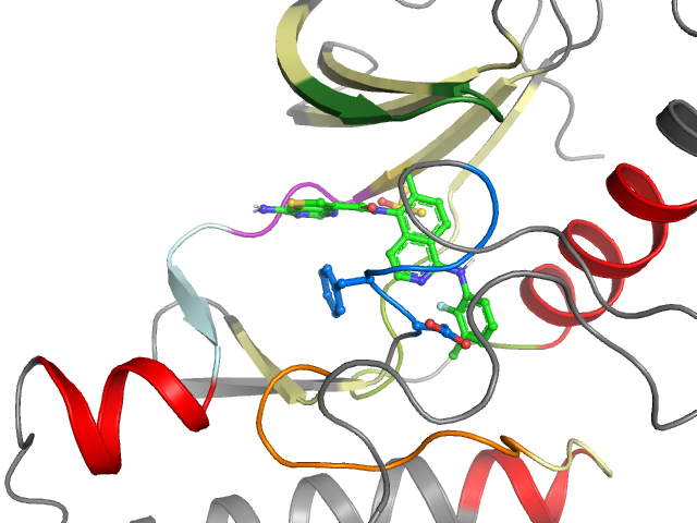 The orthosteric binding pocket