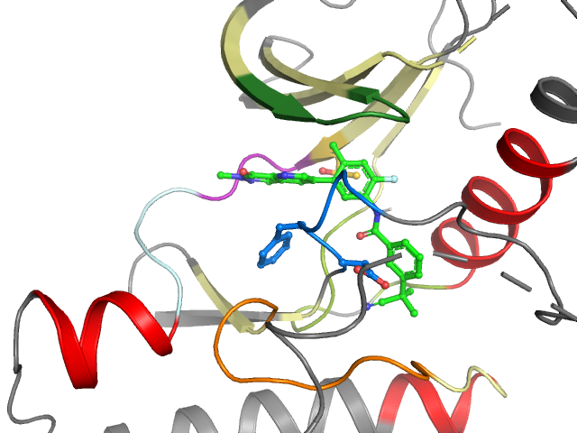 The orthosteric binding pocket
