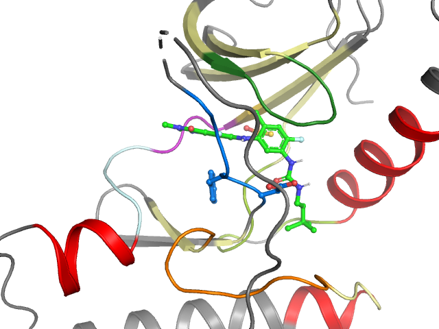 The orthosteric binding pocket