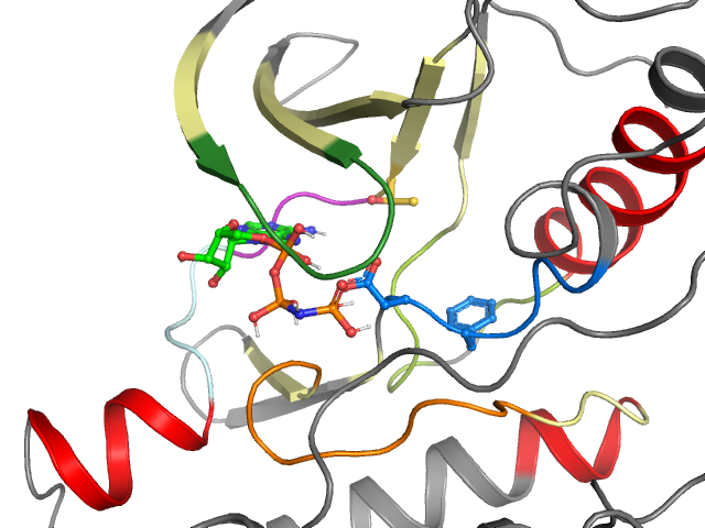 The orthosteric binding pocket