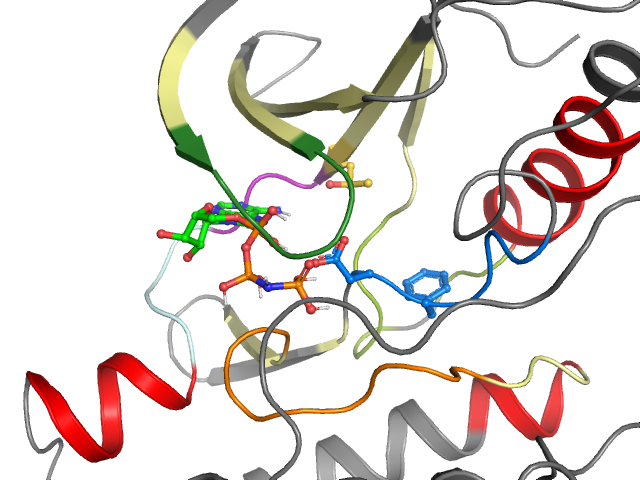 The orthosteric binding pocket