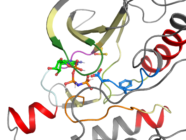 The orthosteric binding pocket