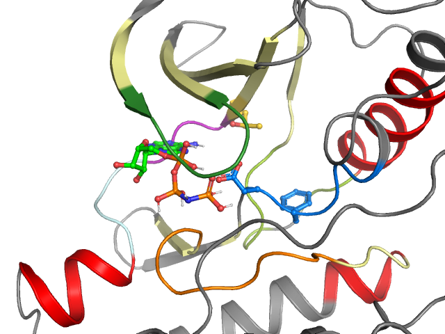 The orthosteric binding pocket
