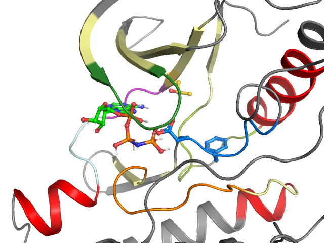 The orthosteric binding pocket
