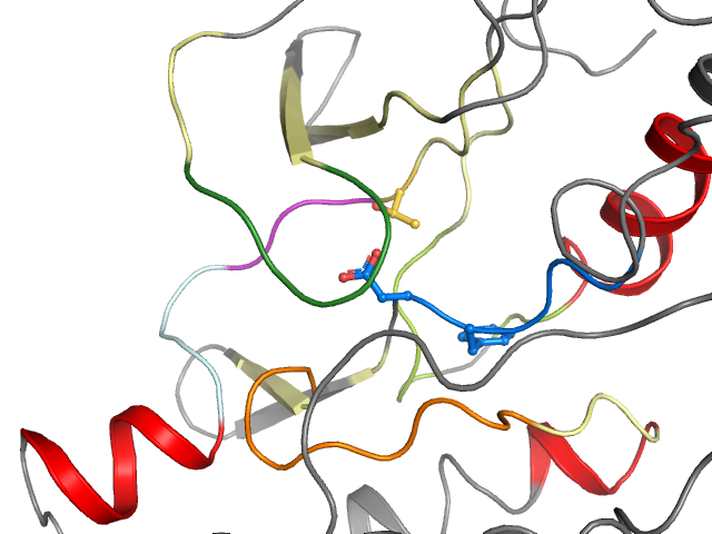The orthosteric binding pocket