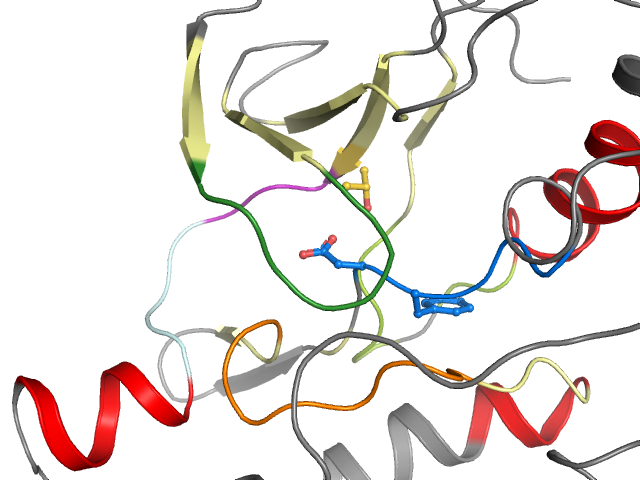 The orthosteric binding pocket
