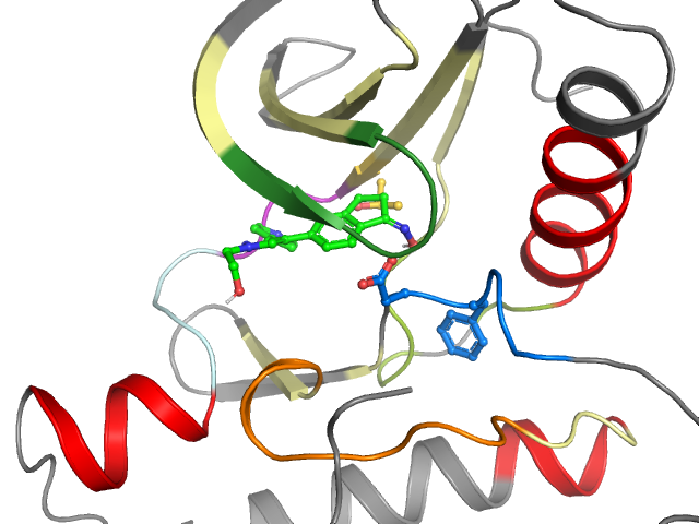 The orthosteric binding pocket