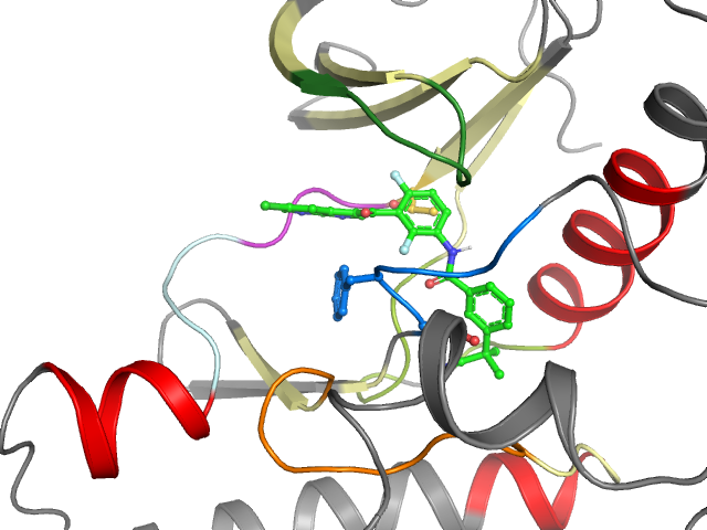 The orthosteric binding pocket