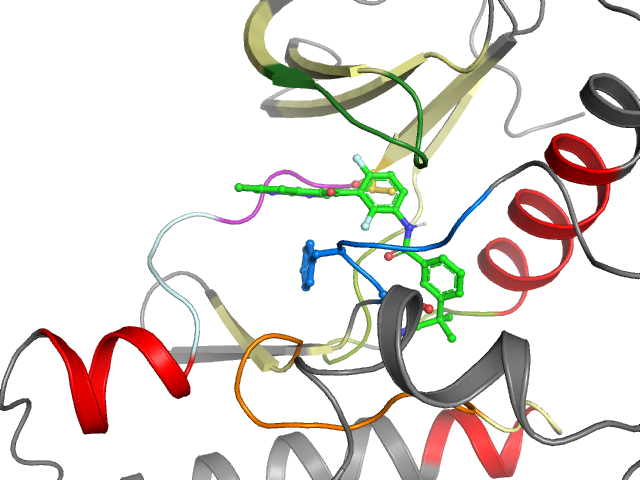 The orthosteric binding pocket