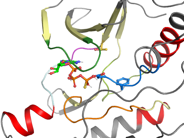 The orthosteric binding pocket