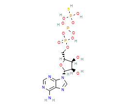 2D structure of the orthosteric ligand