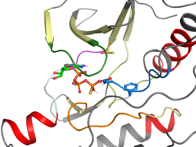 The orthosteric binding pocket
