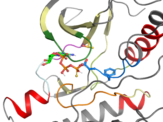 The orthosteric binding pocket