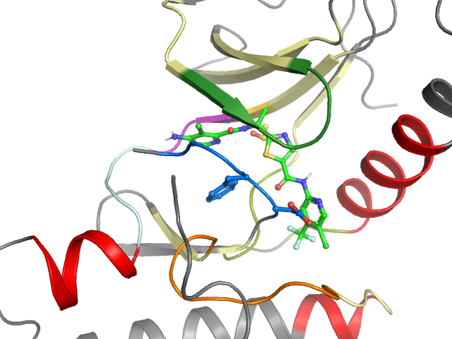 The orthosteric binding pocket