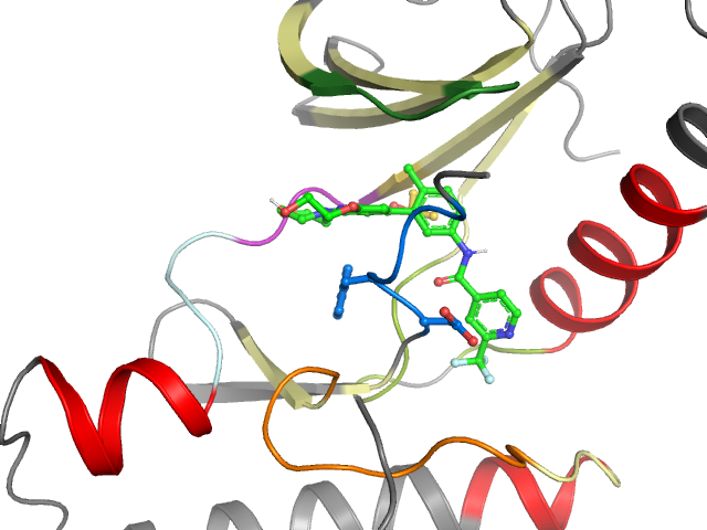 The orthosteric binding pocket