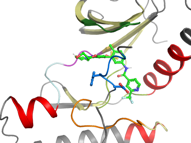The orthosteric binding pocket
