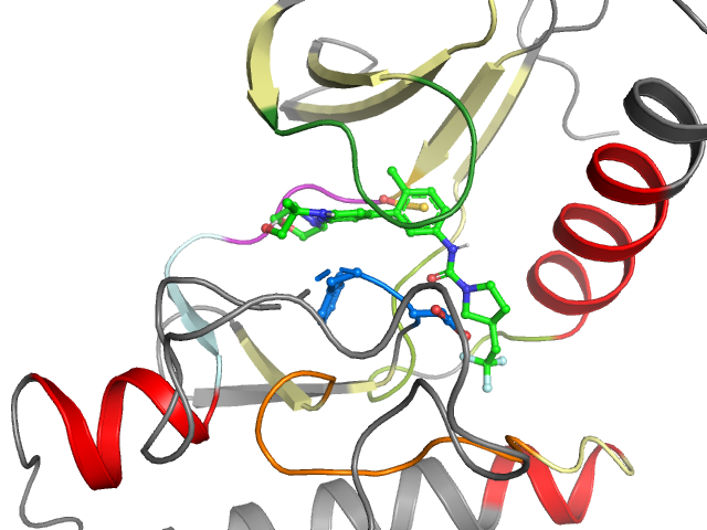 The orthosteric binding pocket