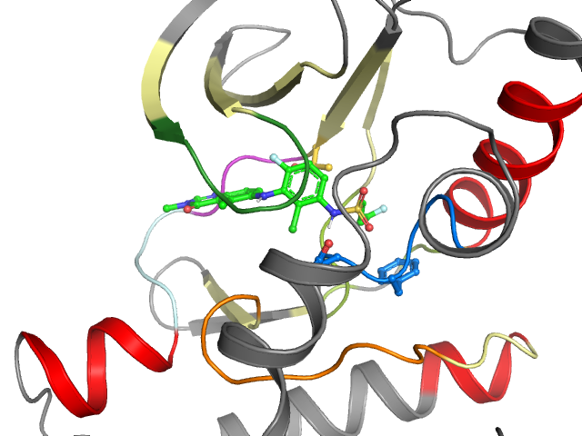 The orthosteric binding pocket