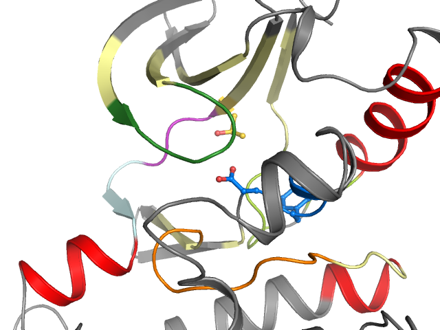 The orthosteric binding pocket
