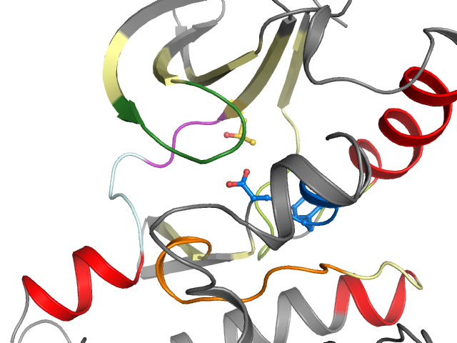 The orthosteric binding pocket