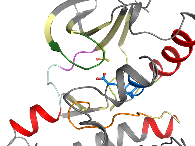 The orthosteric binding pocket