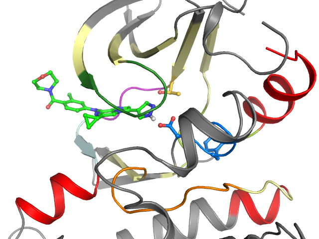 The orthosteric binding pocket