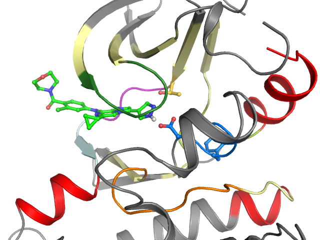 The orthosteric binding pocket