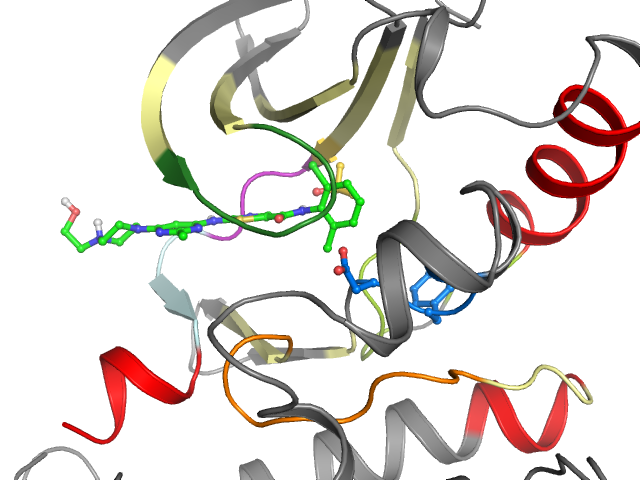 The orthosteric binding pocket