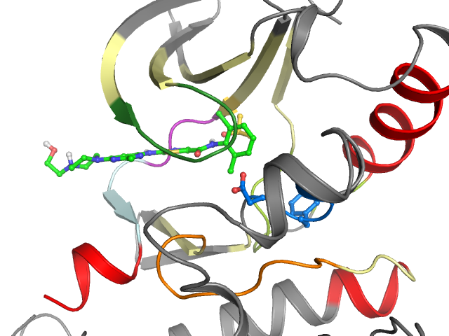 The orthosteric binding pocket