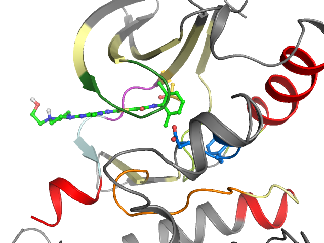 The orthosteric binding pocket