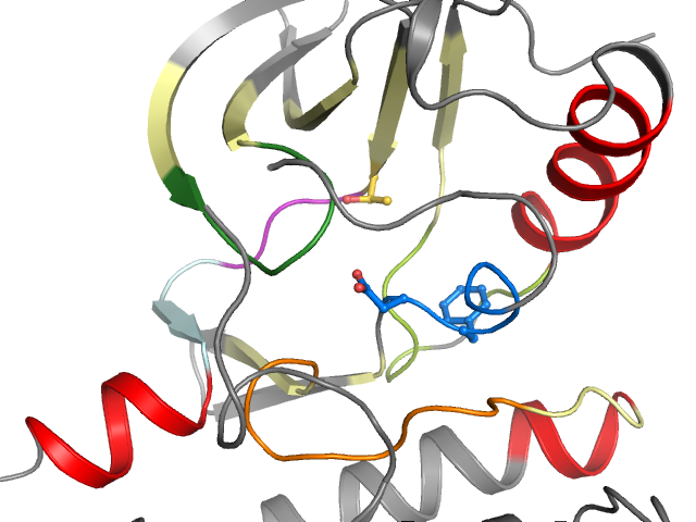 The orthosteric binding pocket