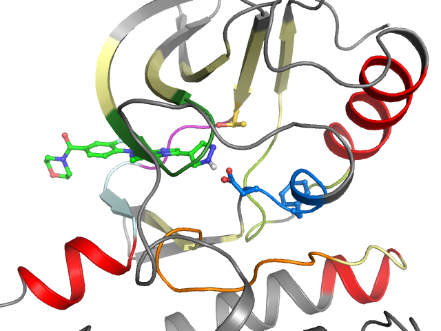 The orthosteric binding pocket