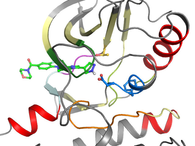 The orthosteric binding pocket