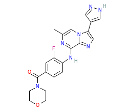 2D structure of the orthosteric ligand