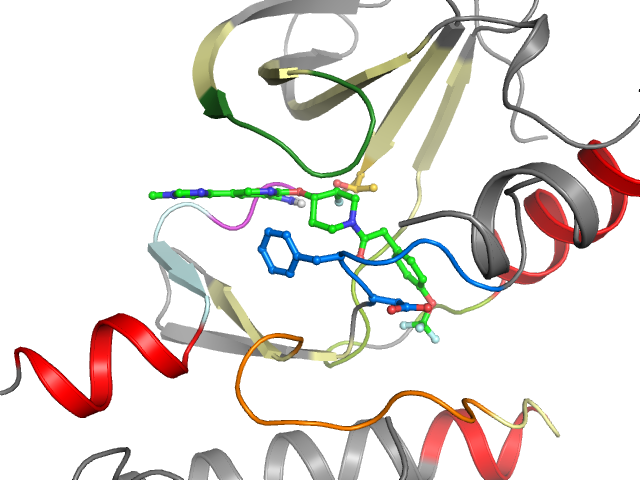 The orthosteric binding pocket