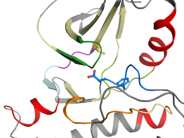 The orthosteric binding pocket