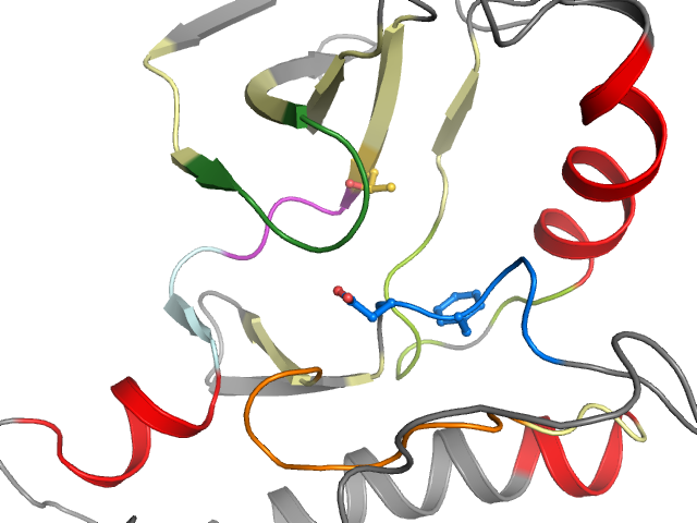 The orthosteric binding pocket