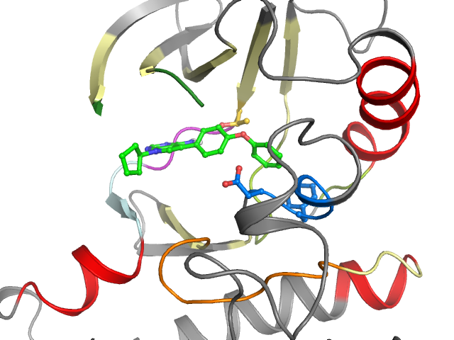 The orthosteric binding pocket