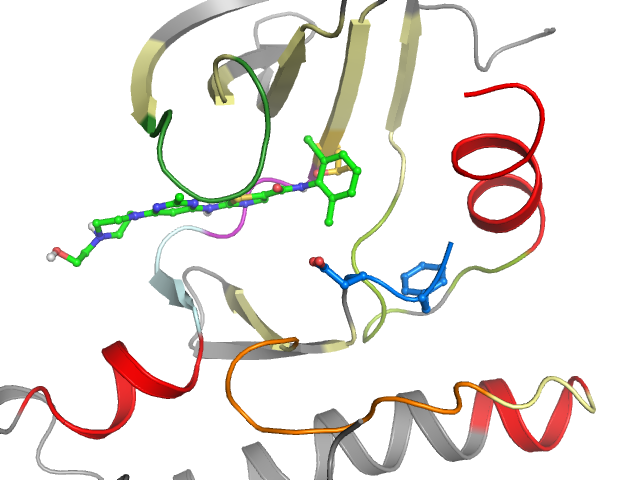 The orthosteric binding pocket