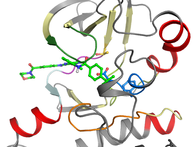 The orthosteric binding pocket