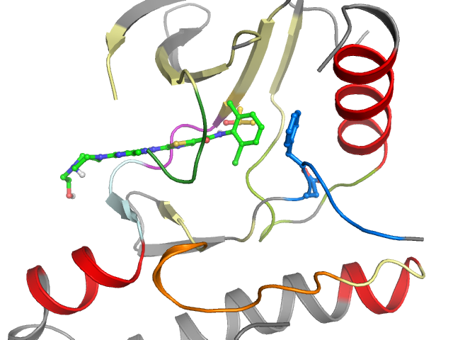 The orthosteric binding pocket