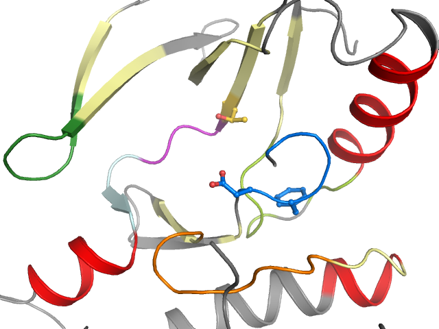 The orthosteric binding pocket