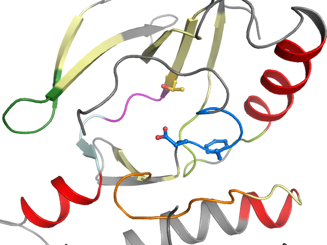 The orthosteric binding pocket