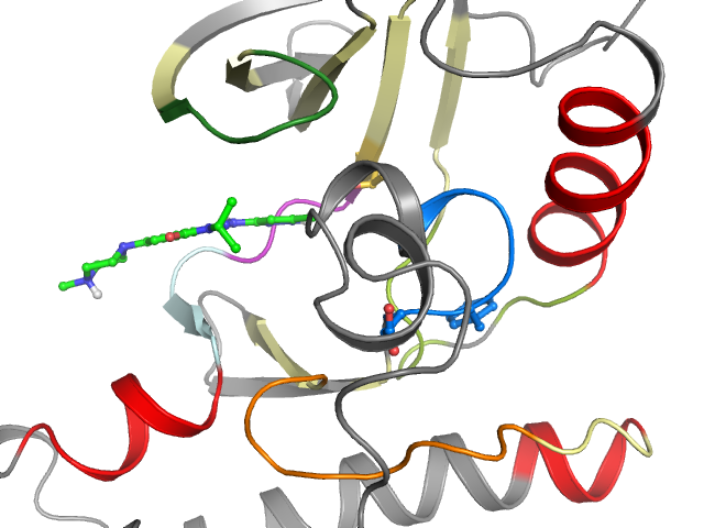 The orthosteric binding pocket