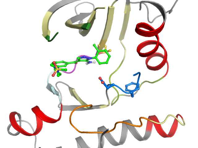 The orthosteric binding pocket