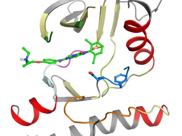 The orthosteric binding pocket