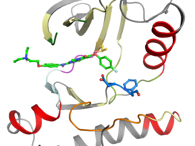 The orthosteric binding pocket