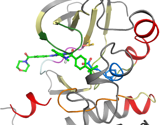 The orthosteric binding pocket