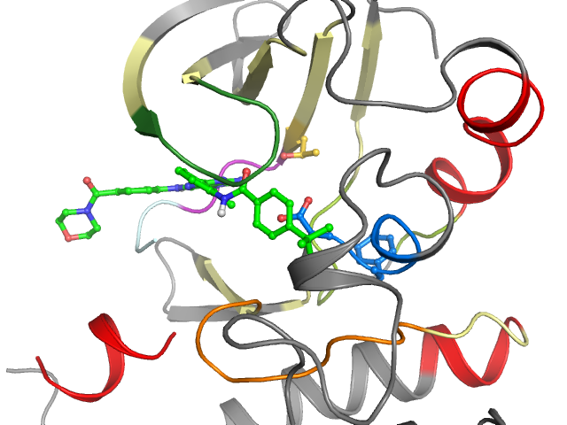 The orthosteric binding pocket